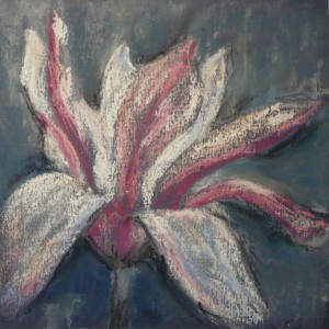 2011_09_studie-magnolie_pastel.jpg
